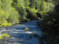 Butte Falls 015