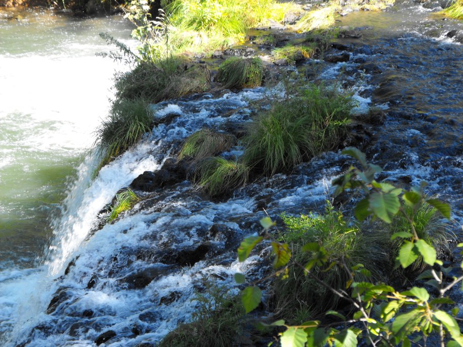 Butte Falls 020