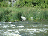 Klamath River 3