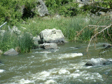 Klamath River 5